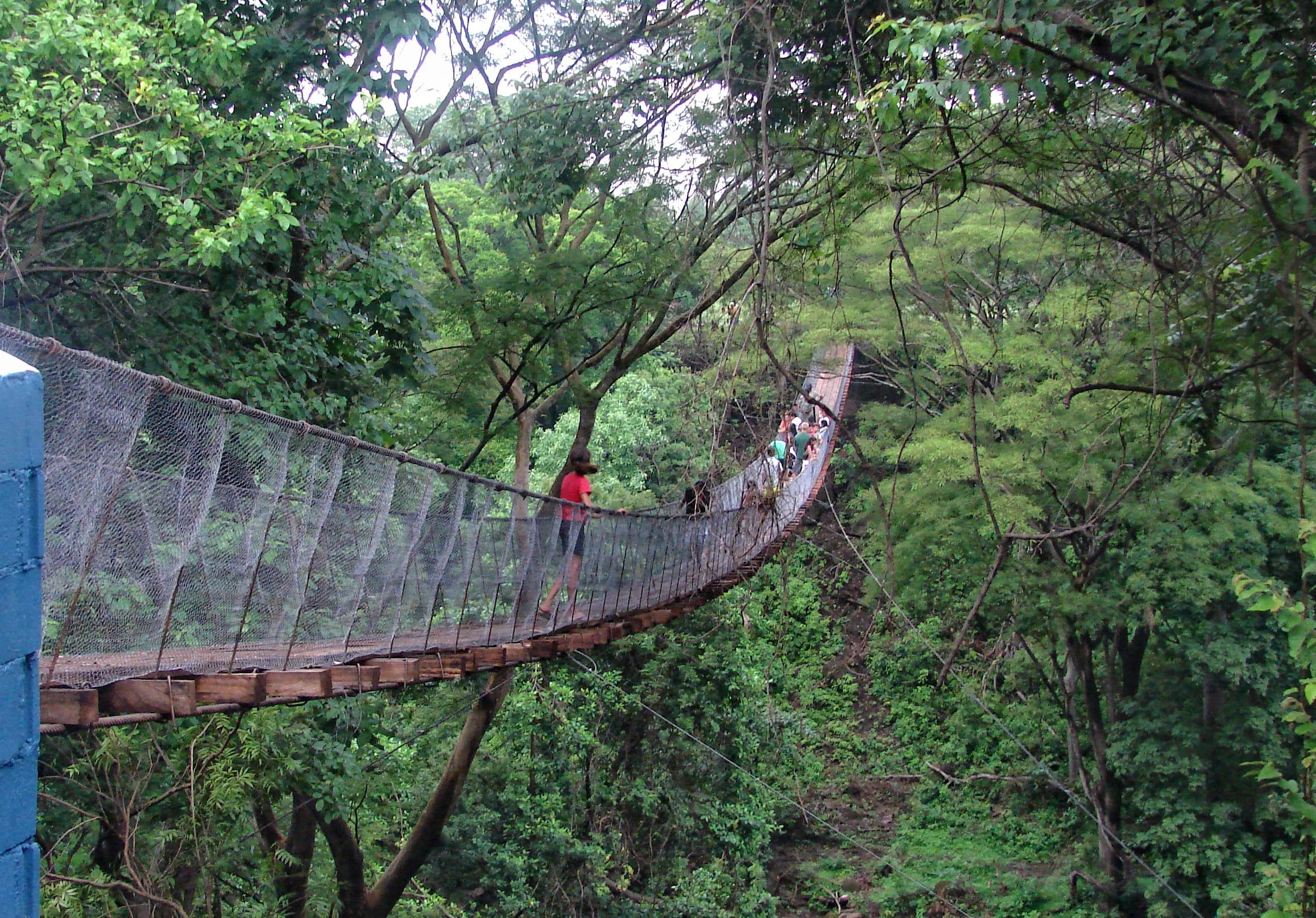 A suspension footbridge crossing a forested river gorge